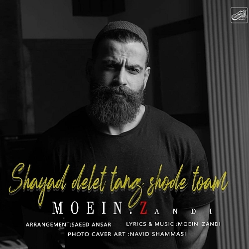 Cover artwork for Shayad Delet Tang Shode Toam by Moein Z